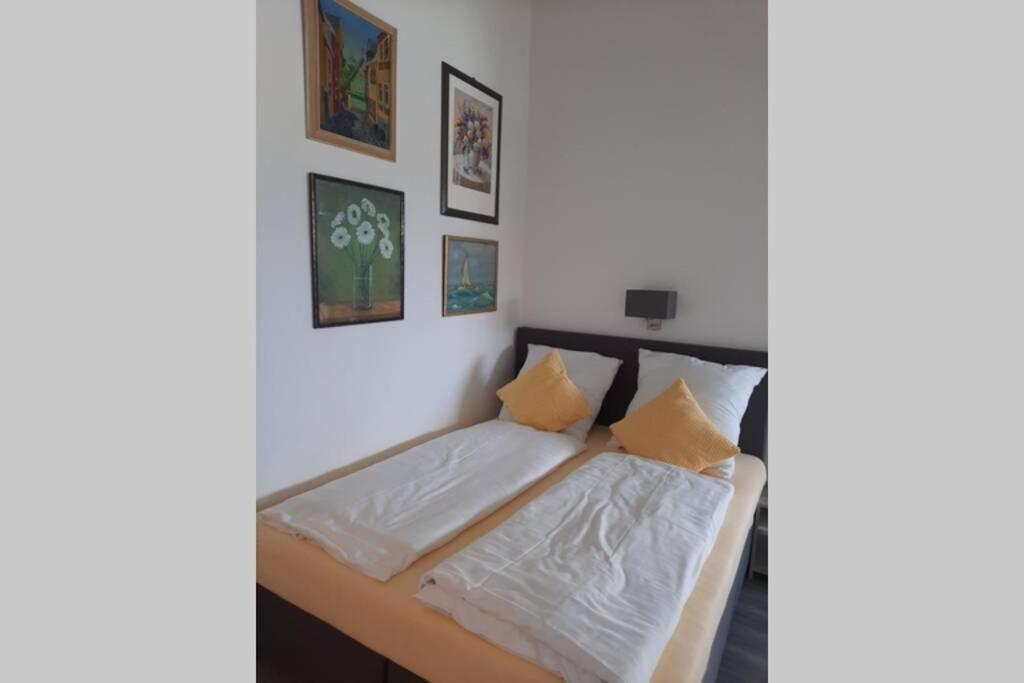 Riva - Appartement Modern - Naehe Montabaur Ruppach-Goldhausen Exteriér fotografie